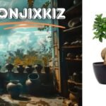 bonjixkiz